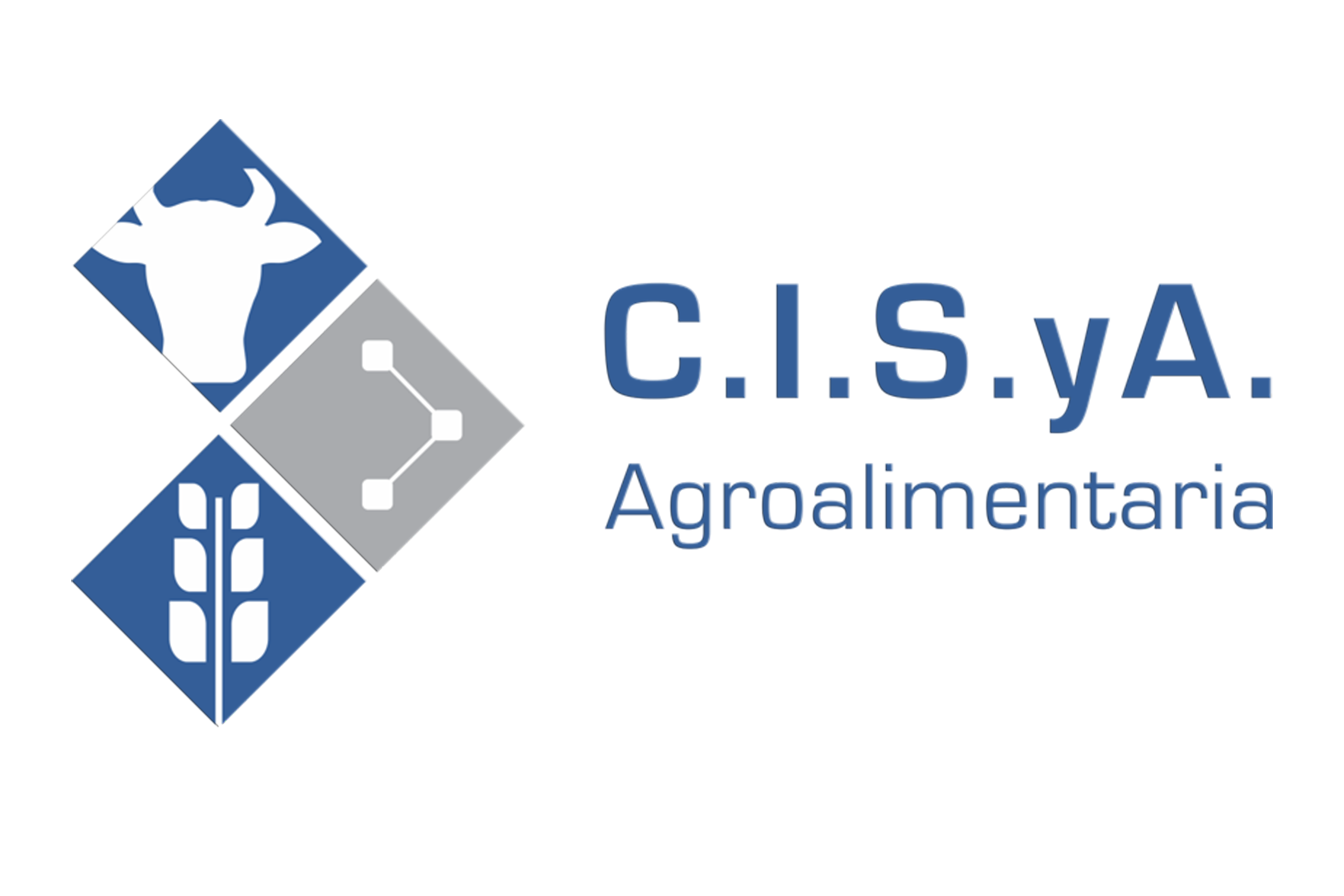 Grupo SCISYA